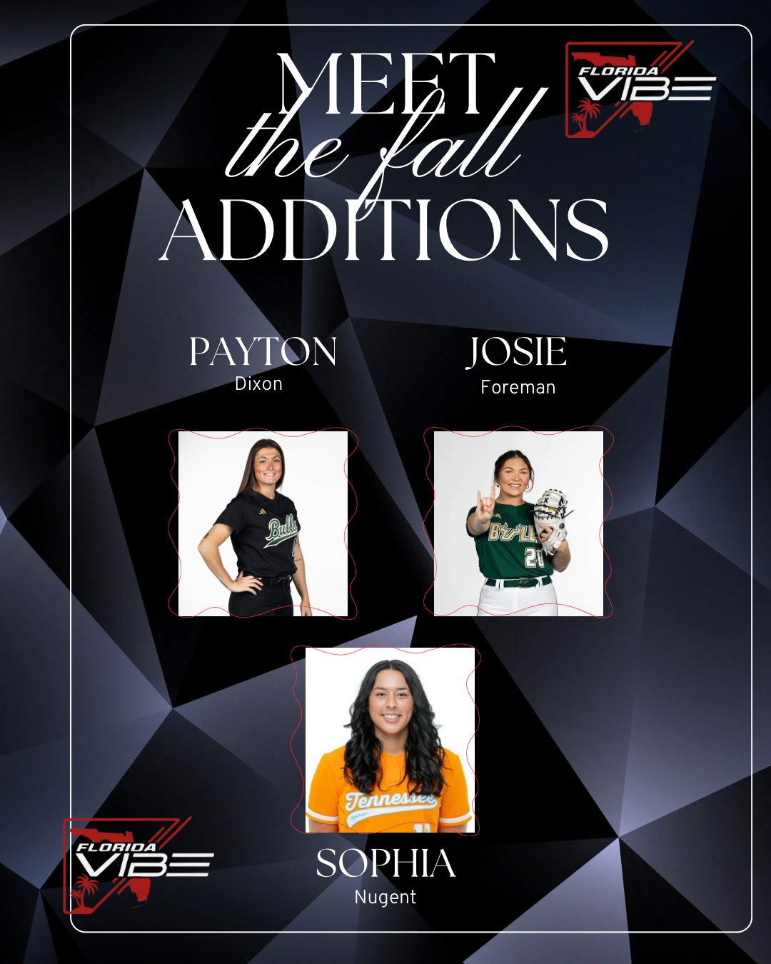 Vibe Fall Roster