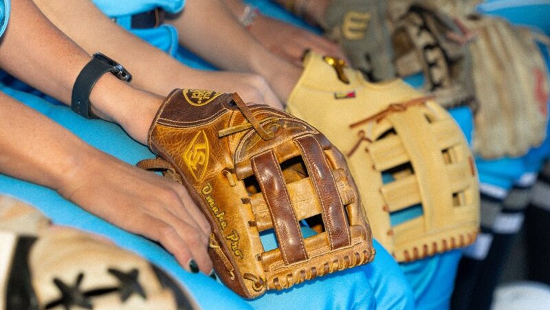 Professional Softball League